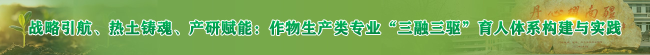 首页底部海报
